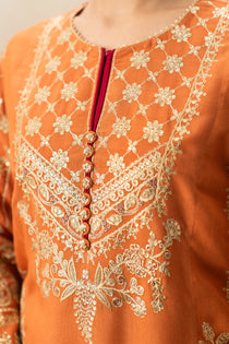 2 Piece - Embroidered  Raw Silk Suit - 1005